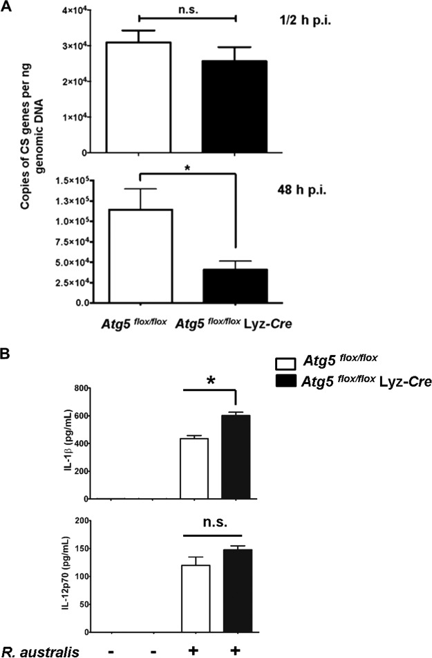 FIG 2