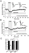 FIGURE 6: