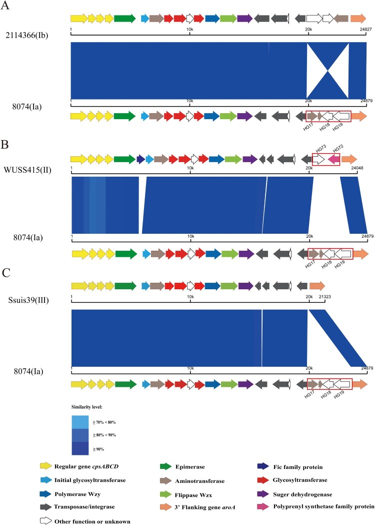 Figure 3.