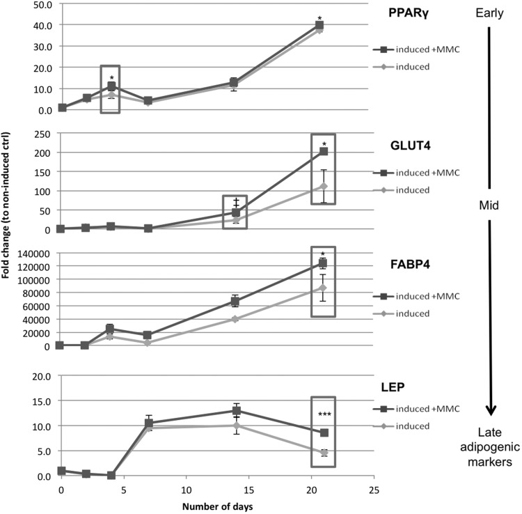 FIG. 2.