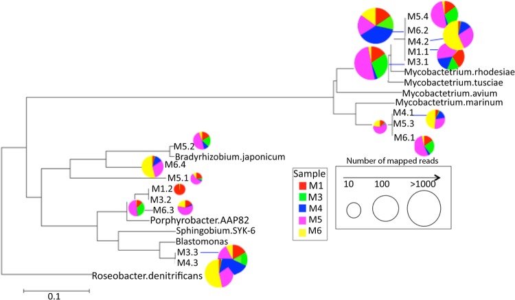 FIG 2