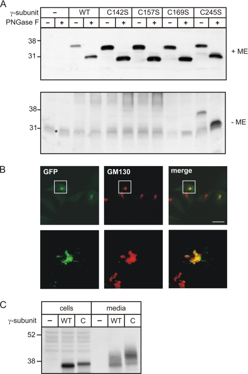 FIGURE 4.