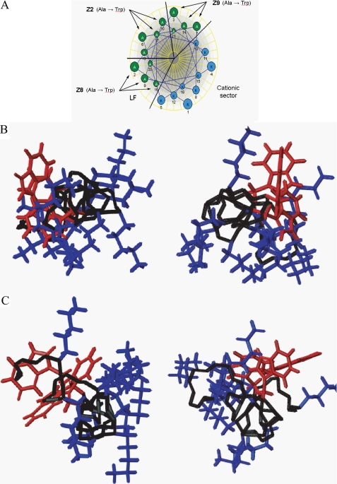 FIGURE 6.