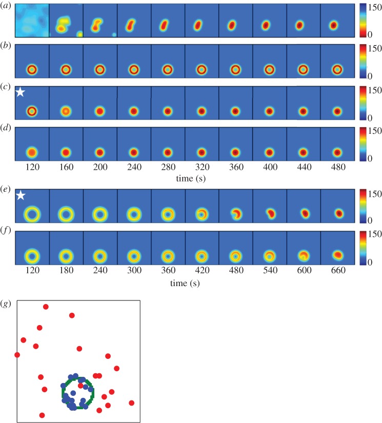 Figure 6.