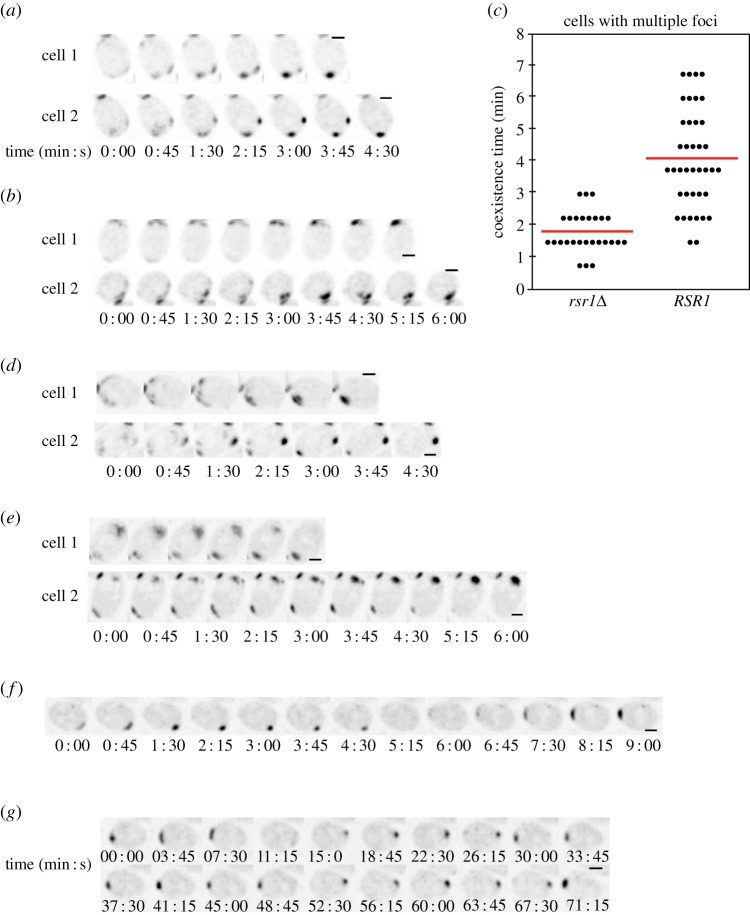 Figure 3.