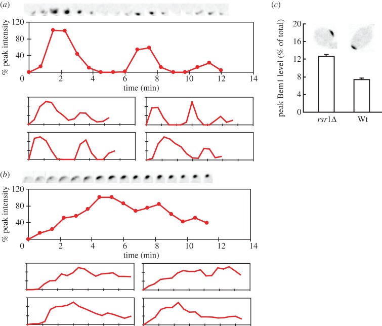 Figure 4.