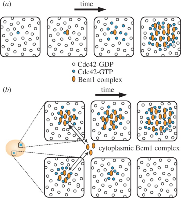 Figure 1.