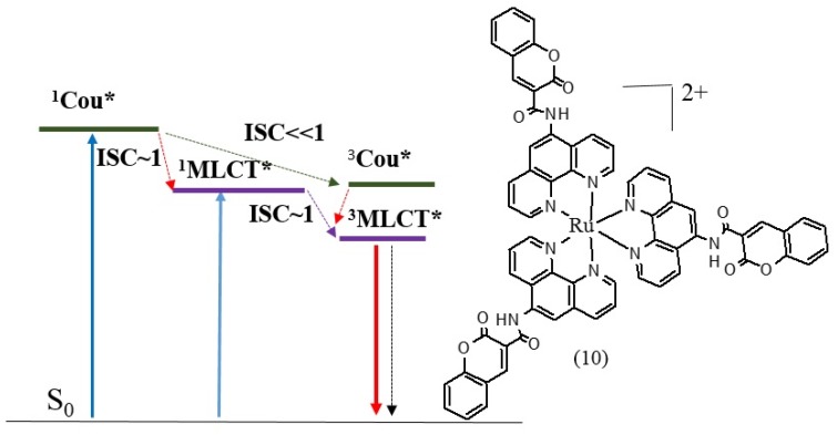 Figure 30