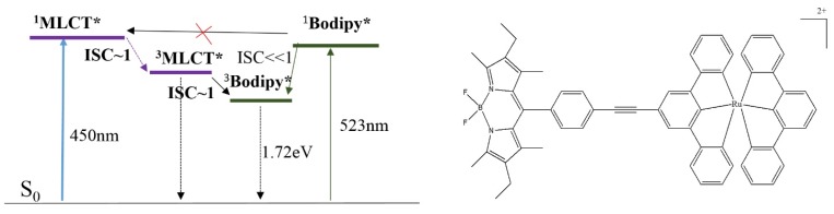 Figure 32