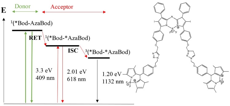 Figure 29