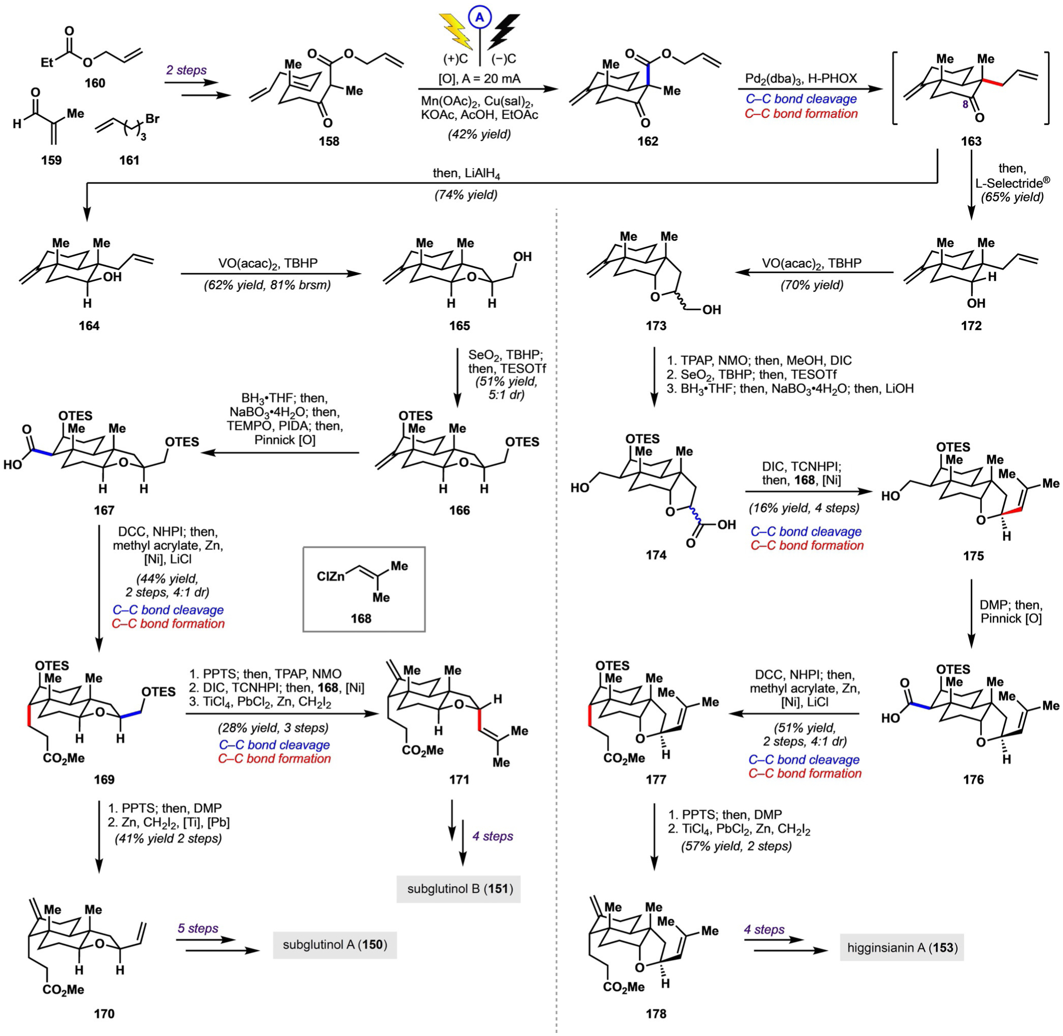 Scheme 22.