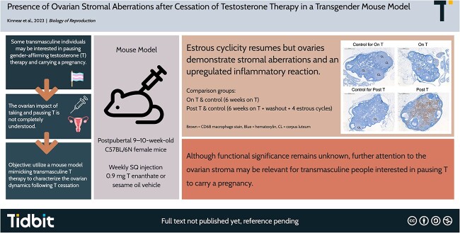 Graphical Abstract