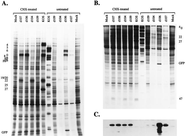 FIG. 3