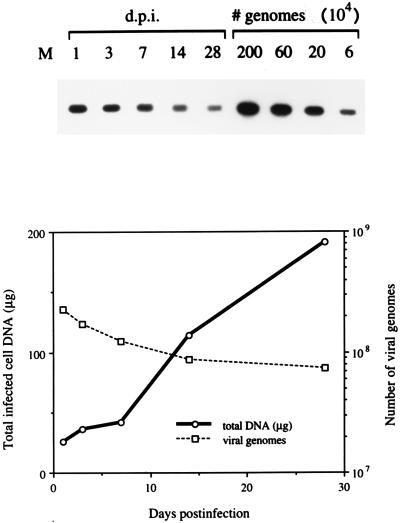 FIG. 8