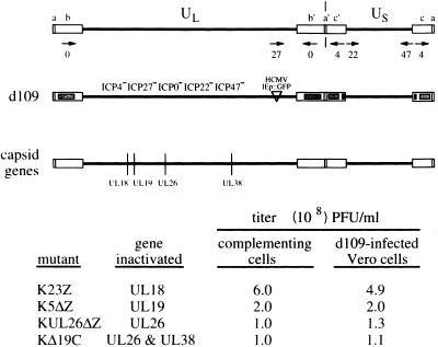 FIG. 10