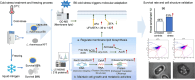 Image, graphical abstract