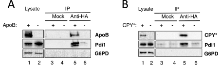 FIGURE 3: