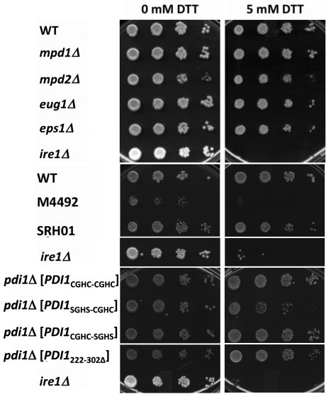 FIGURE 5: