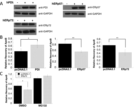 FIGURE 7: