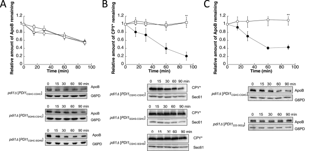 FIGURE 4: