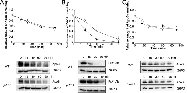 FIGURE 6: