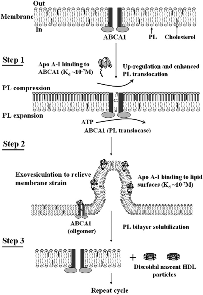 Fig. 9.