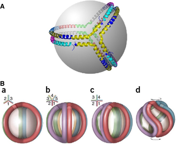 Fig. 8.