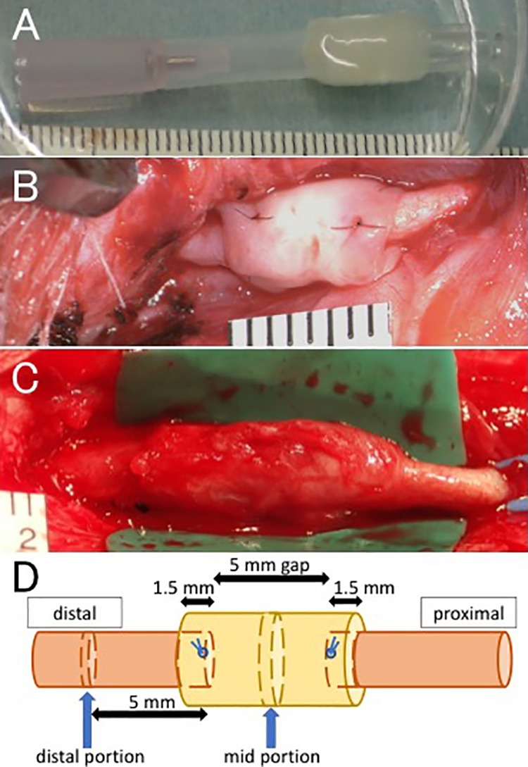 Figure 2.