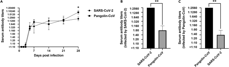 Figure 6