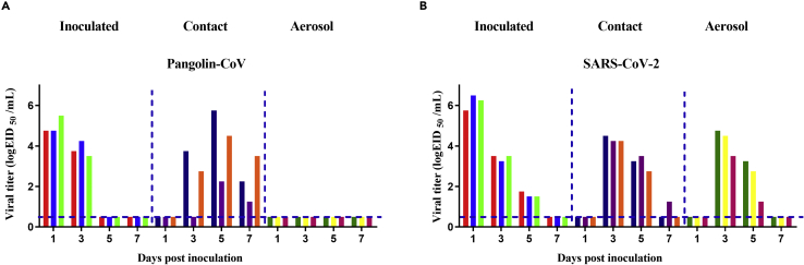 Figure 4