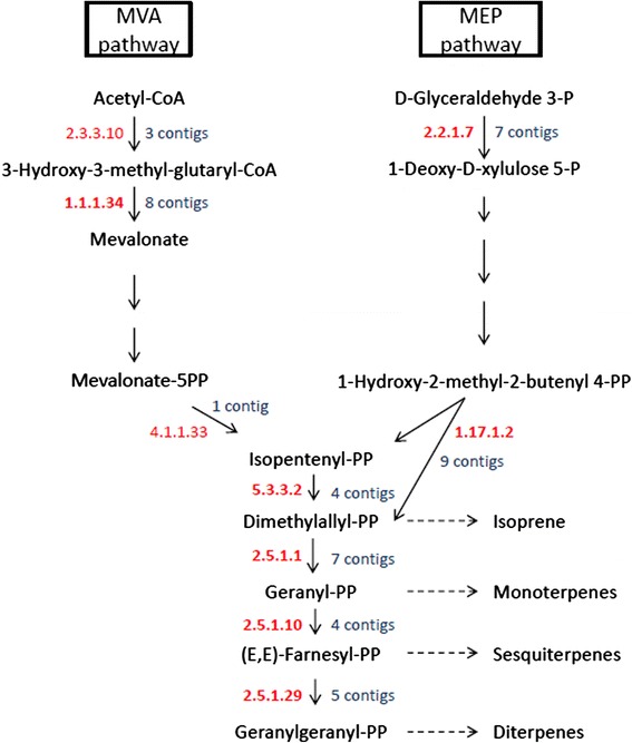 Fig. 4