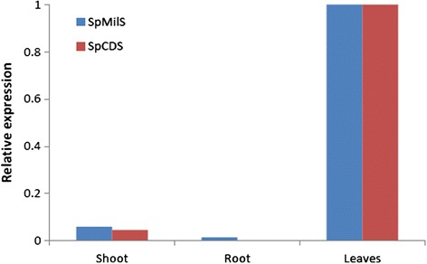 Fig. 6