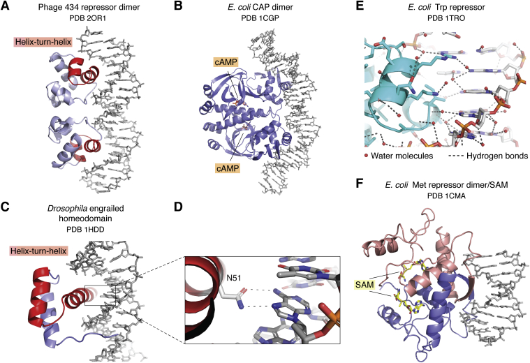 Figure 1