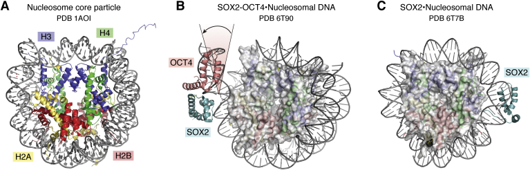 Figure 5