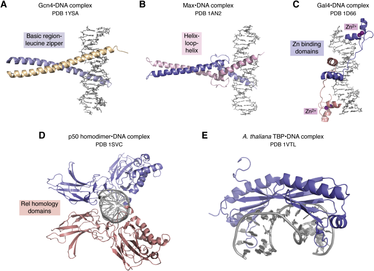 Figure 2