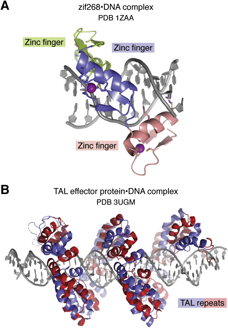 Figure 3