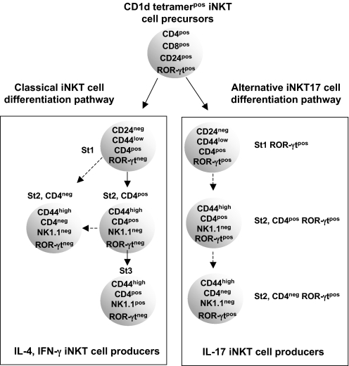 Fig. 8.