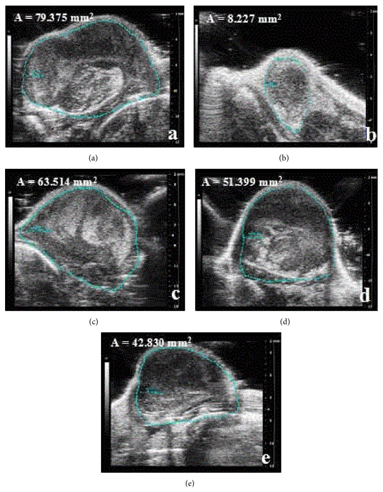 Figure 4