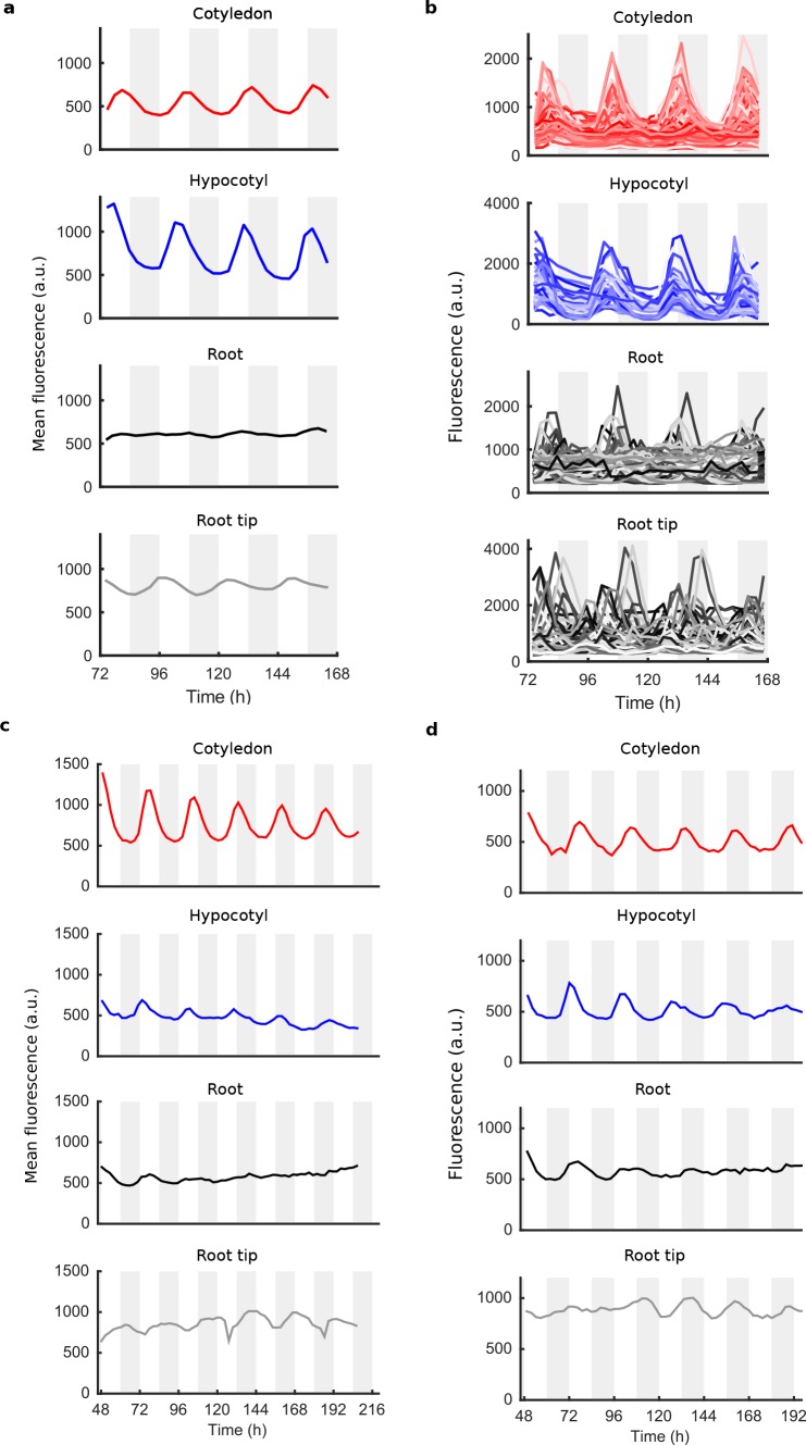 Figure 1—figure supplement 3.