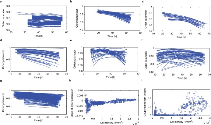 Figure 3—figure supplement 4.