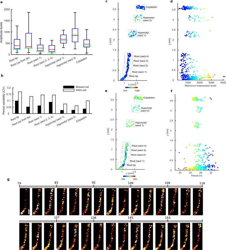 Figure 2—figure supplement 1.