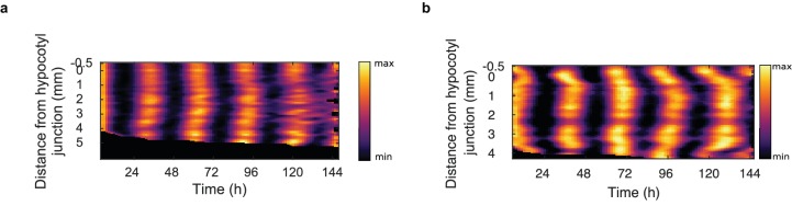 Figure 3—figure supplement 1.