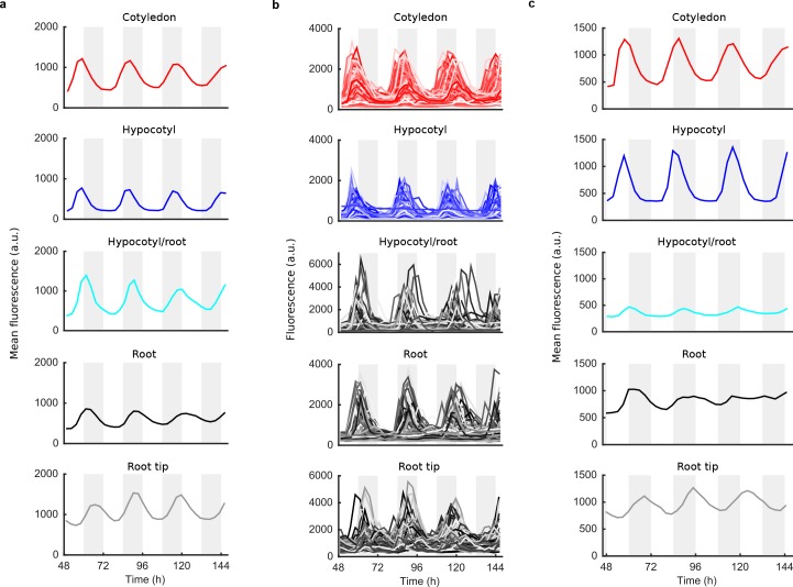 Figure 1—figure supplement 4.