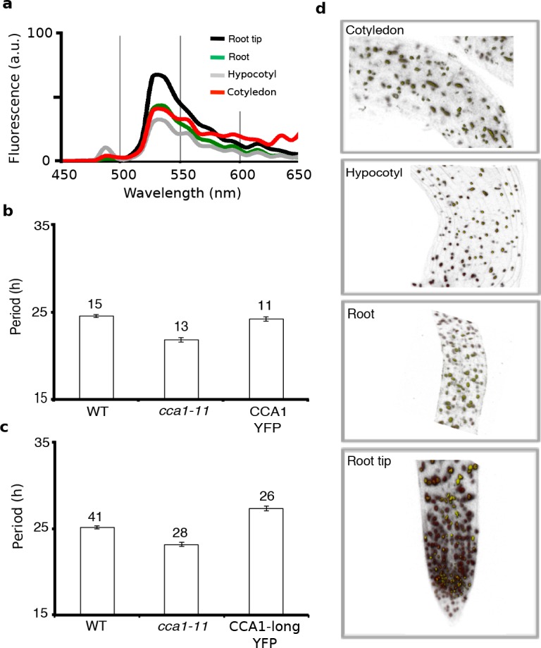 Figure 1—figure supplement 1.