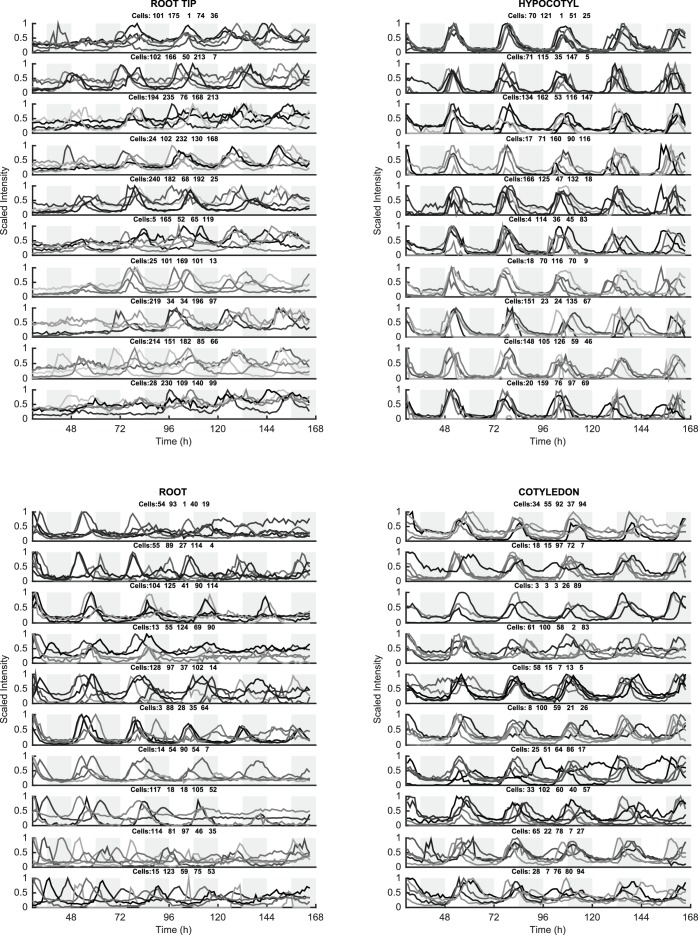 Figure 1—figure supplement 5.