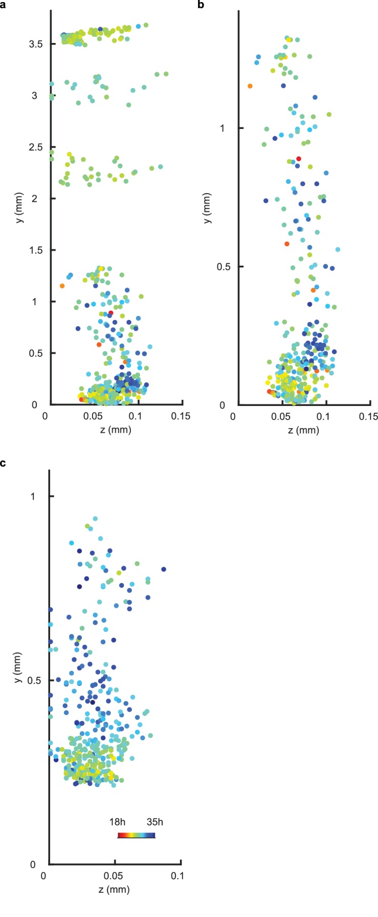 Figure 2—figure supplement 3.