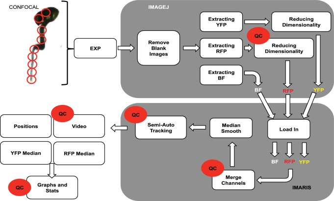 Figure 1—figure supplement 2.