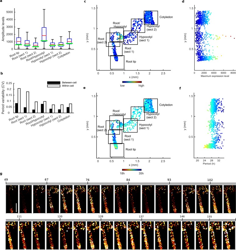 Figure 2—figure supplement 2.