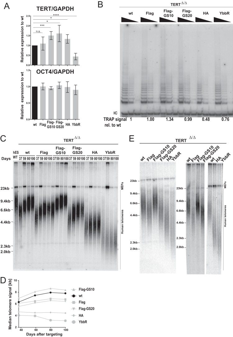 FIG 2