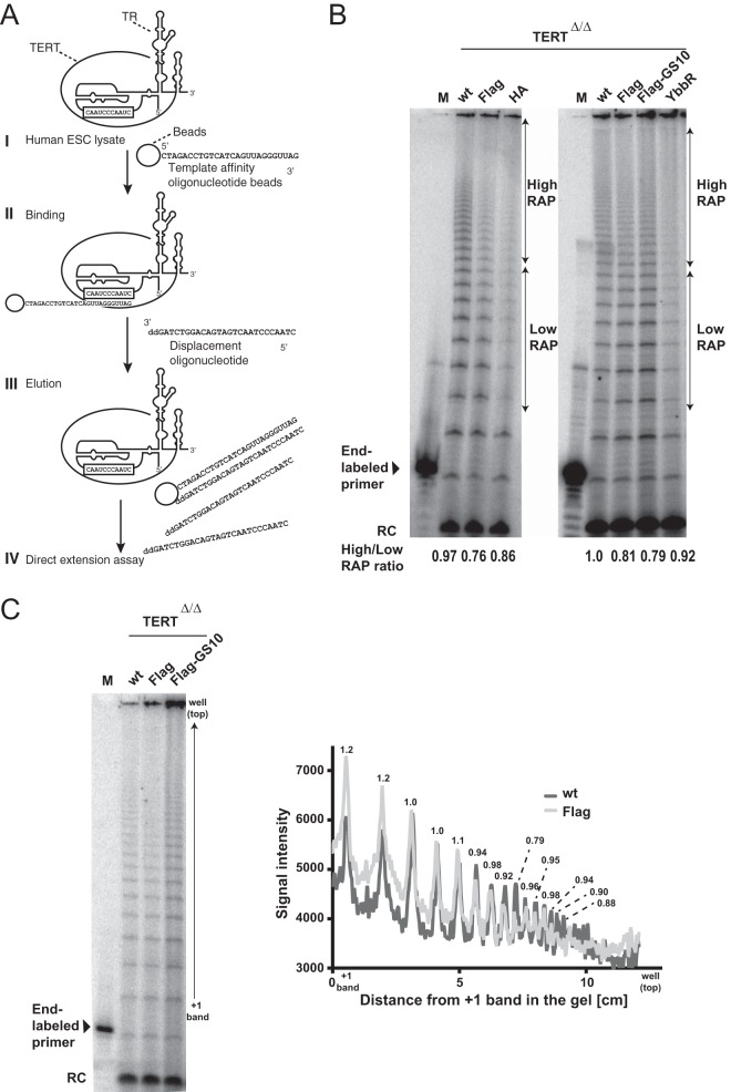 FIG 7